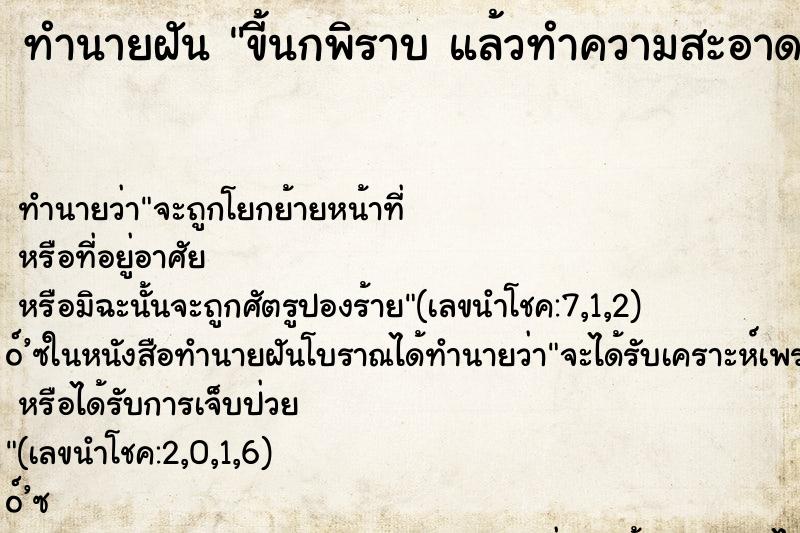 ทำนายฝันทำนายฝันขี้นกพิราบแล้วทำความสะอาด